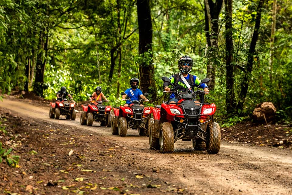 Four quads in single file on a forest track, the lead rider in a full-face helmet.