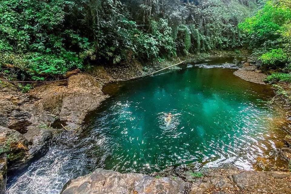 The green pool below the falls, ringed by rock and forest, one swimmer in the middle.