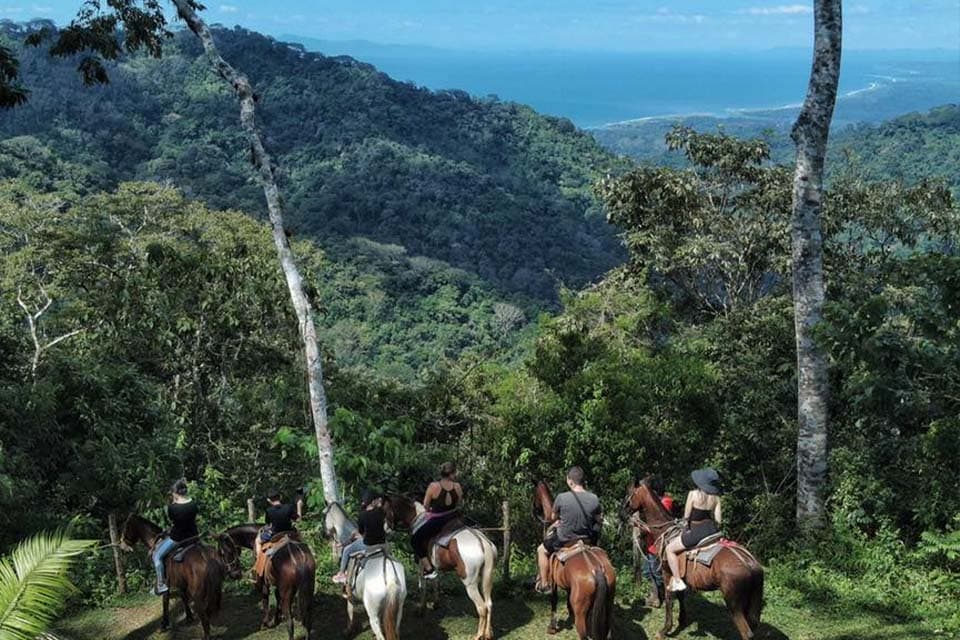 Riders halted on the ridge, looking out over forested hills to the Pacific.
