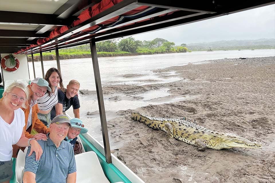 Passengers under the boat's canopy looking out at a crocodile stretched along the mud bank a few metres away.