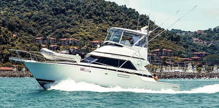 Gods Plan running past the marina, a flybridge convertible with hillside houses behind.