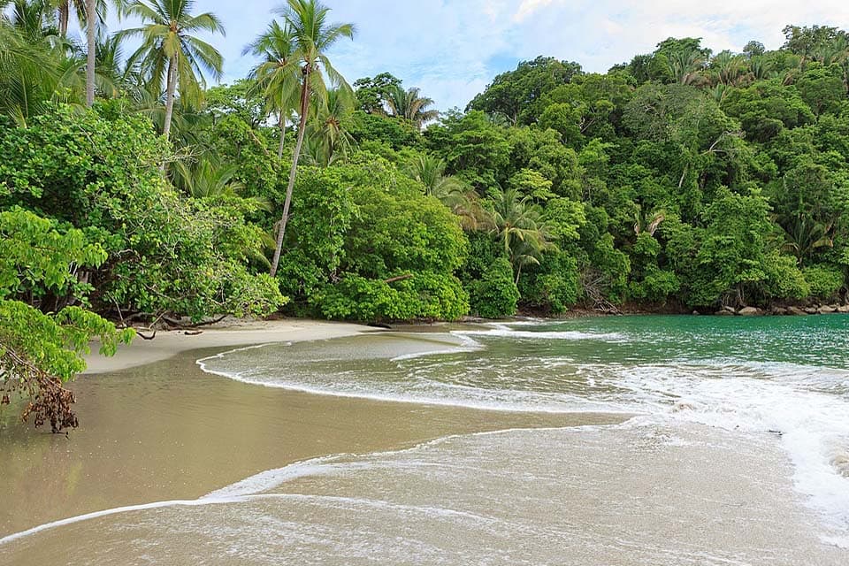 A small cove inside the park, surf running up brown sand with forest right to the tideline.