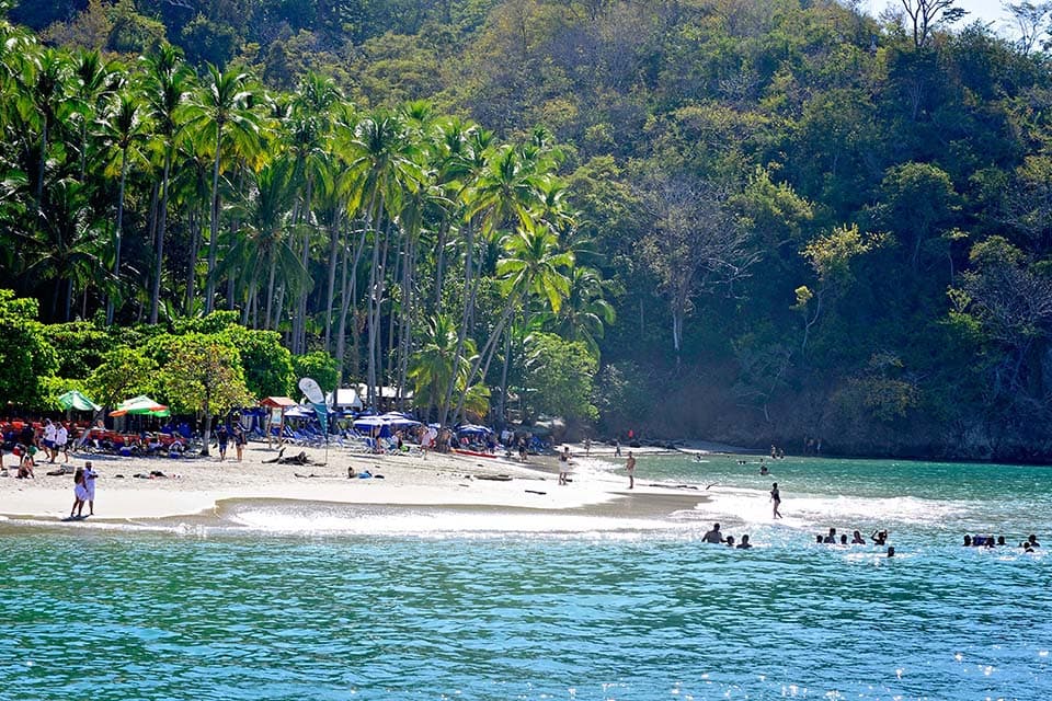 The island beach seen from the water: palms, umbrellas and swimmers along the sand.